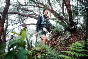 BIB: 
                            <button type="button" onclick="openModal(26295763)" class="btn btn-primary btn-sm float-right btn-popup" data-toggle="modal" data-target=".modal-high-quality">
                        <i class="fas fa-shopping-cart"></i> Add to Cart
                    </button>
                                            <button type="button" onclick="isThisMe(26295763, true)" class="btn btn-success btn-sm float-right btn-popup btn-isme hidden" data-toggle="tooltip" data-placement="bottom" title="นี่คือรูปของคุณใช่ไหม คลิกที่นี่เพื่อเอาเข้าอัลบั้ม">
                        <i class="fas fa-plus"></i> Add to album
                    </button>
                    <button type="button" onclick="isThisMe(26295763, false)" class="btn btn-warning btn-sm float-right btn-popup btn-isnotme hidden">
                        <i class="fas fa-ban"></i> Remove from album
                    </button>